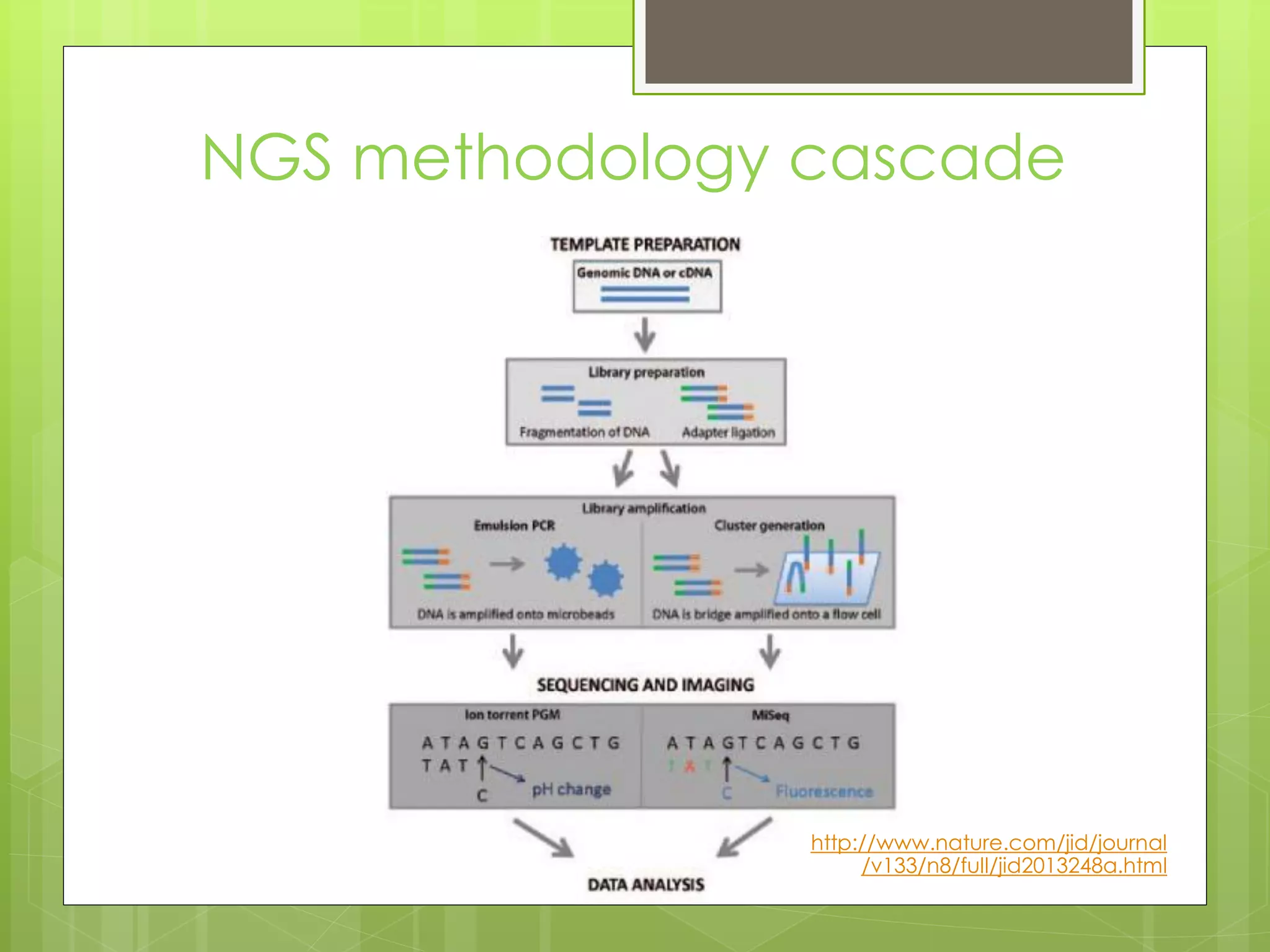 NGS methodology cascade
www.nature.com/jid/journalhttp://
a.html2013248/full/jid8/n133/v