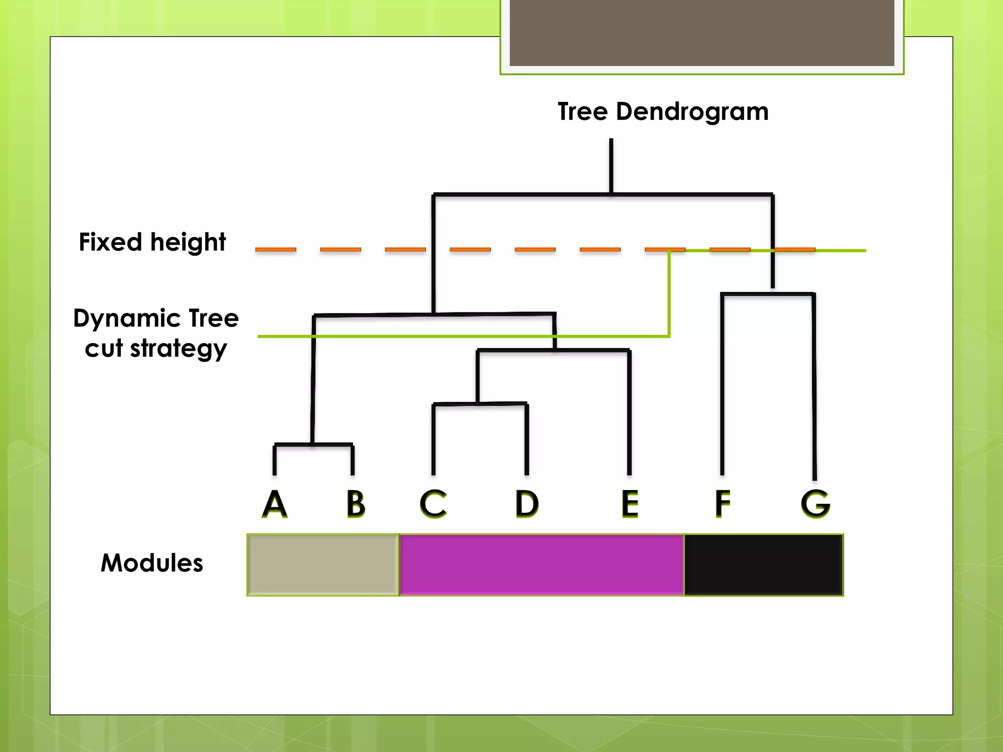 Modules
Dynamic Tree
cut strategy
Tree Dendrogram
Fixed height