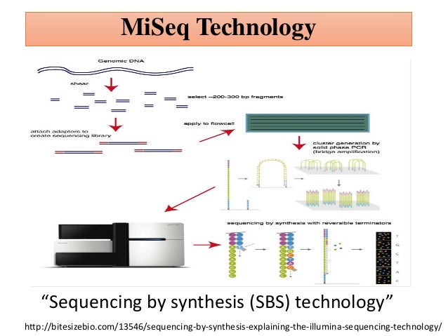 sequencing by synthesis