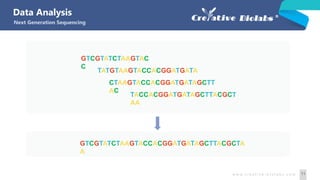 GTCGTATCTAAGTAC
C
TATGTAAGTACCACGGATGATA
CTAAGTACCACGGATGATAGCTT
AC
TACCACGGATGATAGCTTACGCT
AA
GTCGTATCTAAGTACCACGGATGATAGCTTACGCTA
A
Data Analysis
Next Generation Sequencing
w w w. c r e a t i v e - b i o l a b s . c o m 11
 
