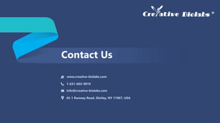 Contact Us
45-1 Ramsey Road, Shirley, NY 11967, USA
info@creative-biolabs.com
1-631-603-9819
www.creative-biolabs.com
 