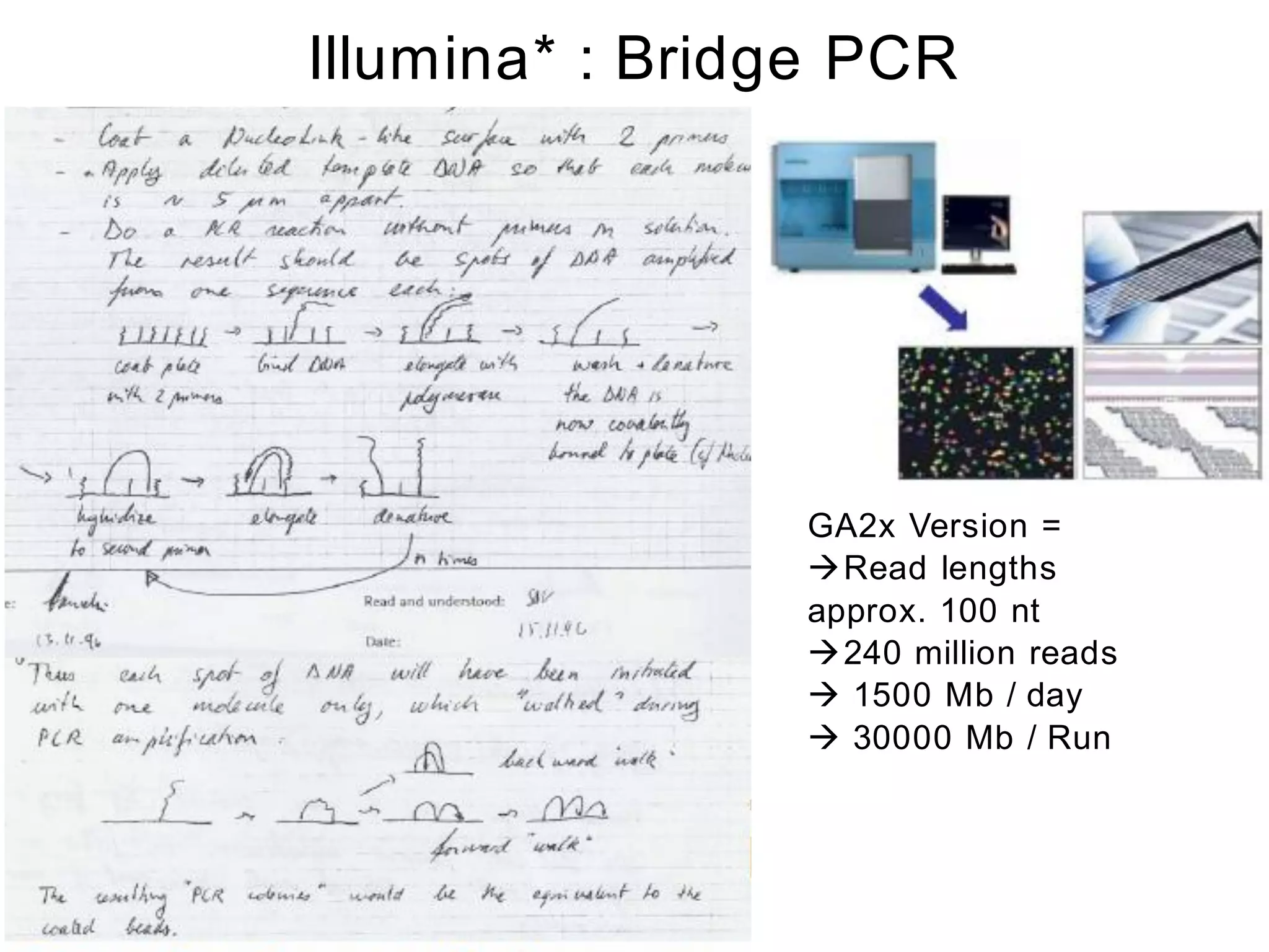 Illumina* : Bridge PCR




                GA2x Version =
                Read lengths
                approx. 100 nt
                240 million reads
                 1500 Mb / day
                 30000 Mb / Run
 