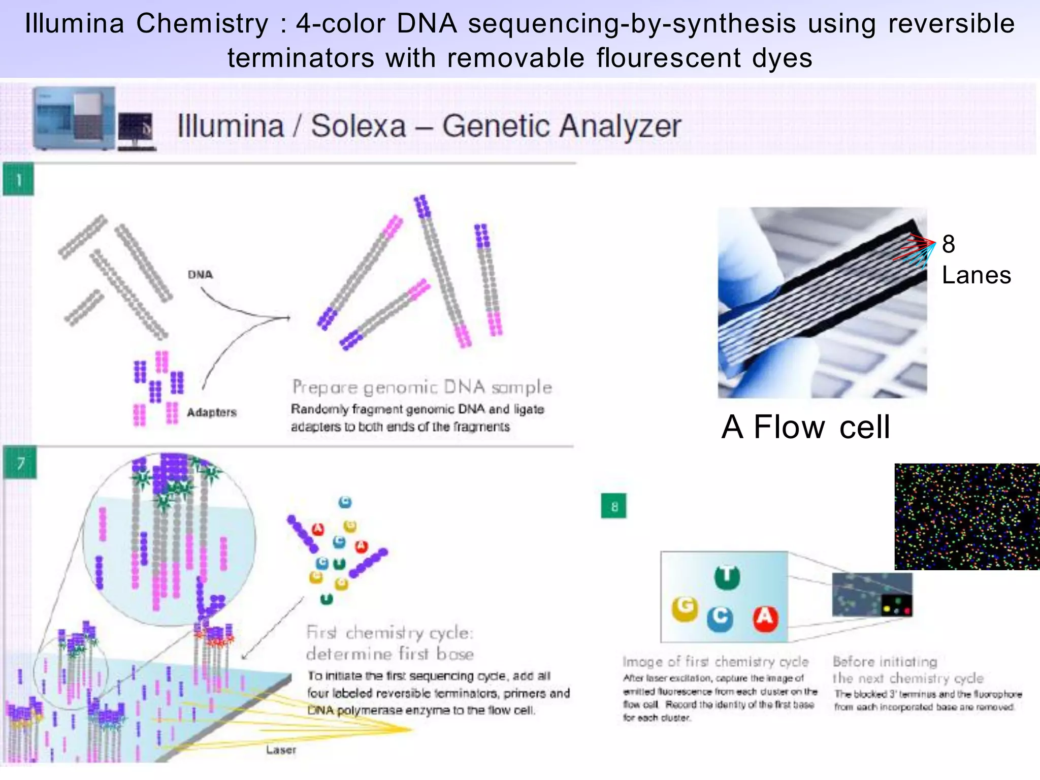 Illumina Chemistry : 4-color DNA sequencing-by-synthesis using reversible
              terminators with removable flourescent dyes




                                                                   8
                                                                   Lanes




                                                   A Flow cell
 