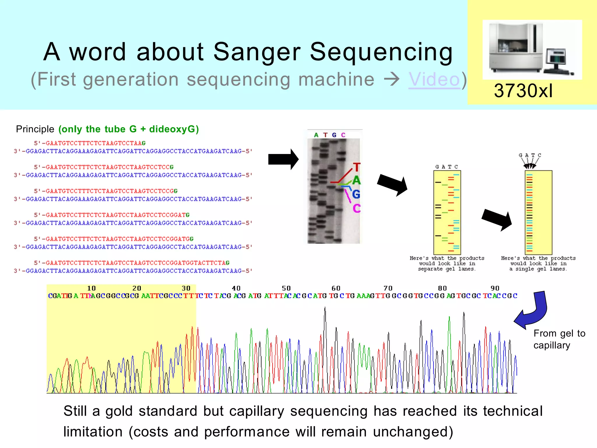 A word about Sanger Sequencing
  (First generation sequencing machine  Video)
                                                                         3730xl
Principle (only the tube G + dideoxyG)




                                                                               From gel to
                                                                               capillary




         Still a gold standard but capillary sequencing has reached its technical
         limitation (costs and performance will remain unchanged)
 