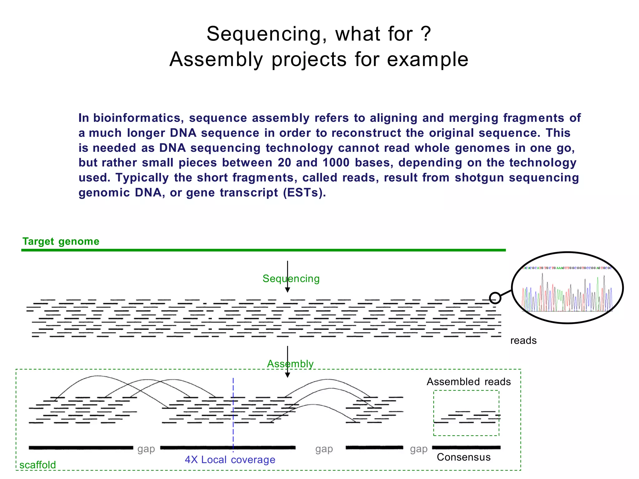 Sequencing, what for ?
                          Assembly projects for example

           In bioinformatics, sequence assembly refers to aligning and merging fragments of
           a much longer DNA sequence in order to reconstruct the original sequence. This
           is needed as DNA sequencing technology cannot read whole genomes in one go,
           but rather small pieces between 20 and 1000 bases, depending on the technology
           used. Typically the short fragments, called reads, result from shotgun sequencing
           genomic DNA, or gene transcript (ESTs).



Target genome


                                          Sequencing




                                                                                  reads

                                           Assembly
                                                                   Assembled reads




                    gap                               gap       gap
                            4X Local coverage                         Consensus
scaffold
 