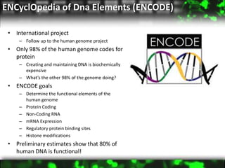 Genome Wide Methodologies and Future Perspectives | PPTX