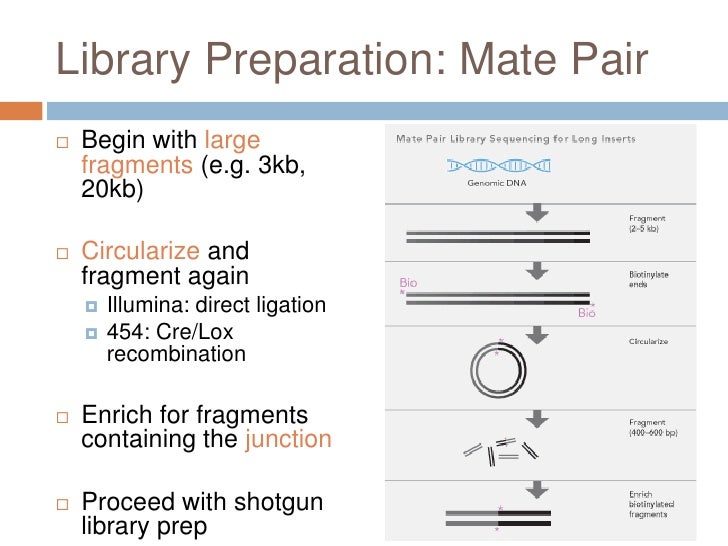 slideshare