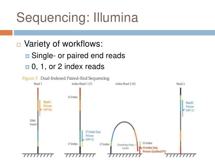paired end sequencing