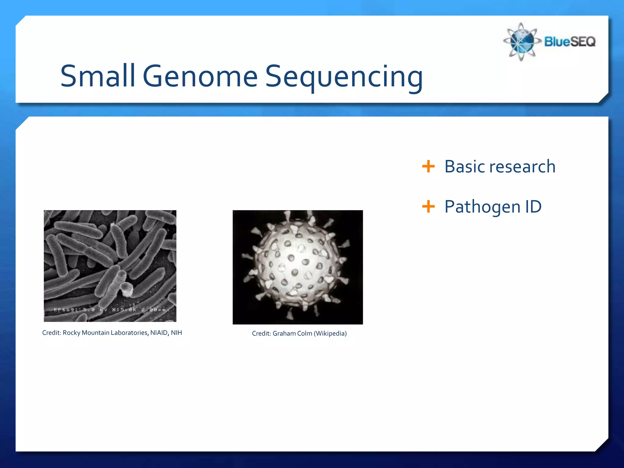 Small Genome Sequencing

                                                                                     Basic research

                                                                                     Pathogen ID




Credit: Rocky Mountain Laboratories, NIAID, NIH   Credit: Graham Colm (Wikipedia)
 