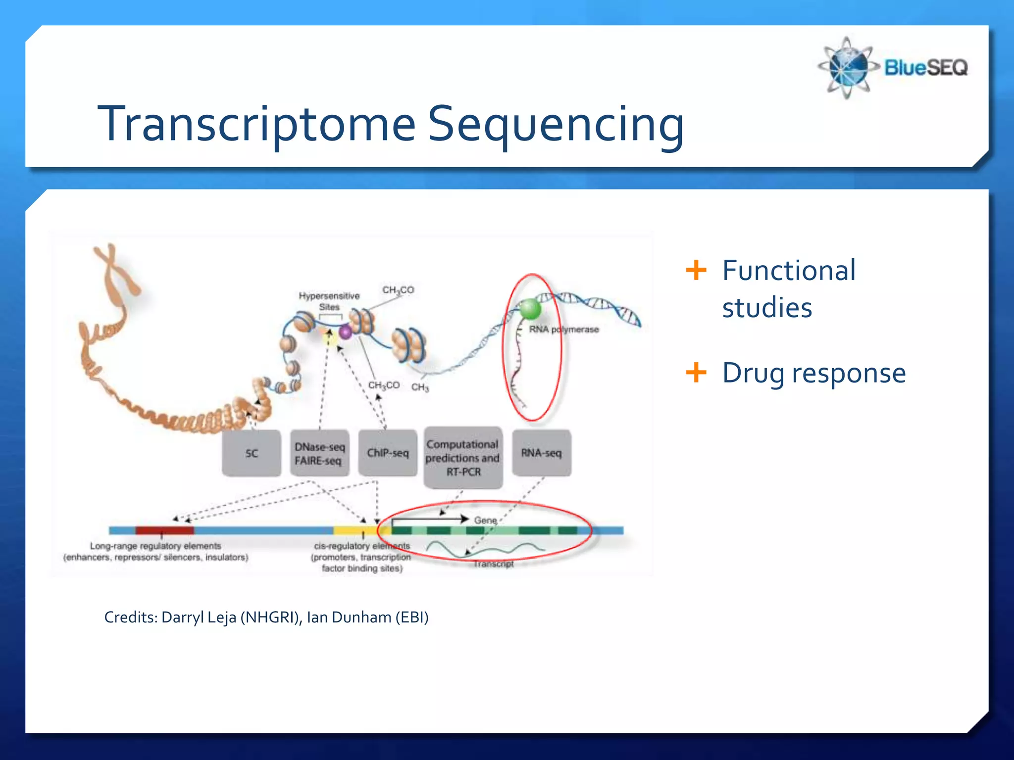 Transcriptome Sequencing

                                                  Functional
                                                   studies

                                                  Drug response




Credits: Darryl Leja (NHGRI), Ian Dunham (EBI)
 