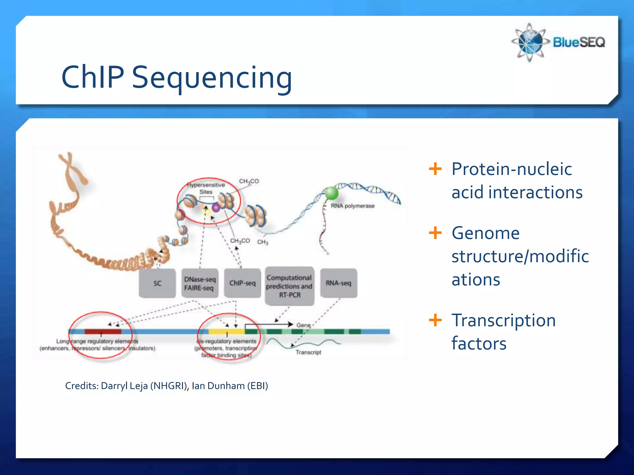 ChIP Sequencing

                                                  Protein-nucleic
                                                   acid interactions

                                                  Genome
                                                   structure/modific
                                                   ations

                                                  Transcription
                                                   factors

Credits: Darryl Leja (NHGRI), Ian Dunham (EBI)
 