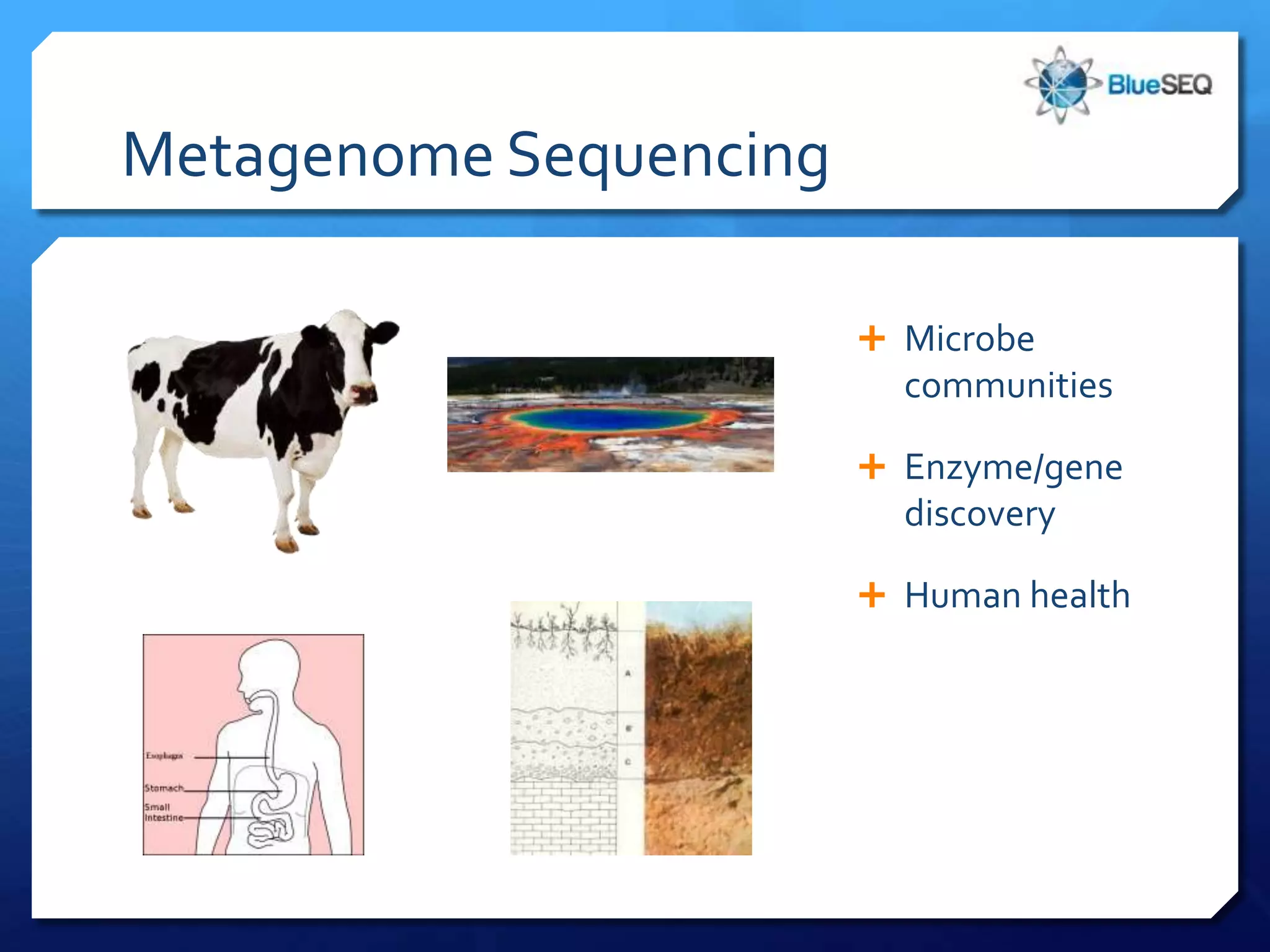 Metagenome Sequencing

                         Microbe
                          communities

                         Enzyme/gene
                          discovery

                         Human health
 
