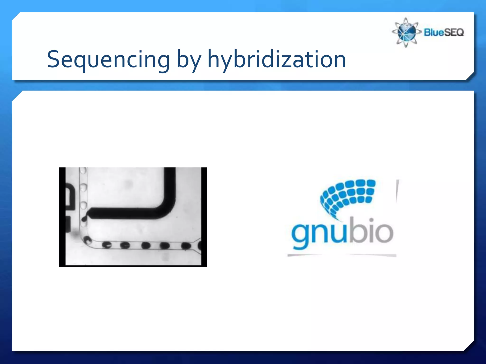 Sequencing by hybridization
 