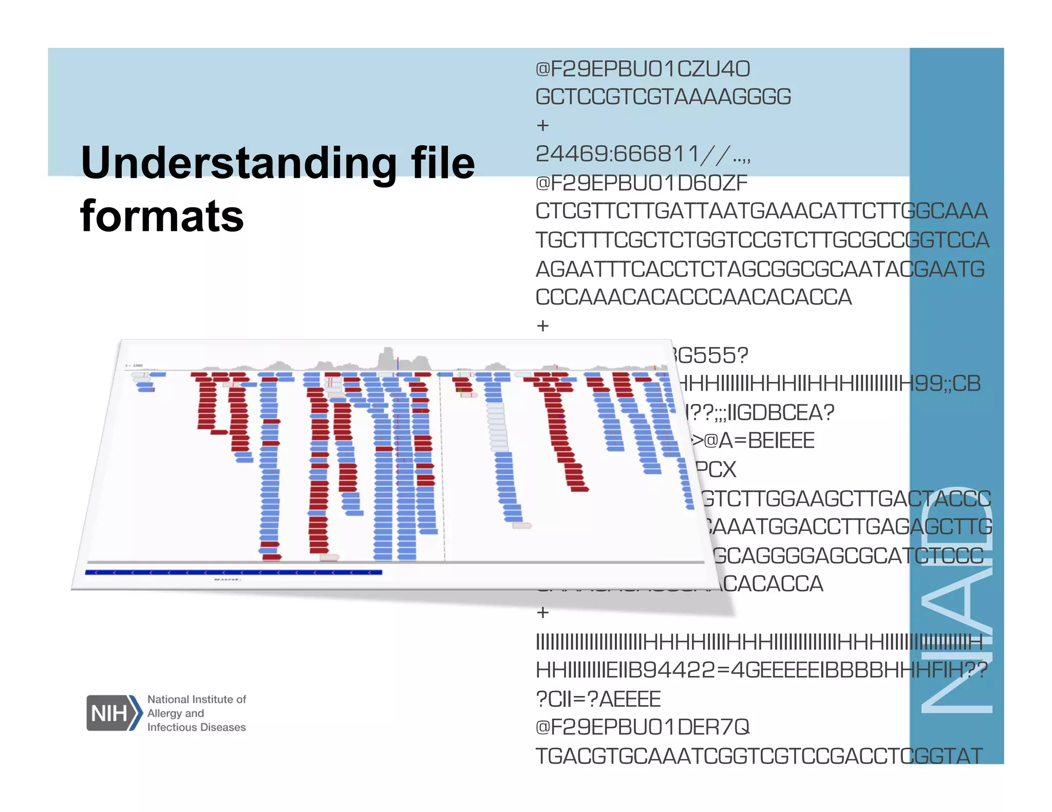 Understanding file
formats
@F29EPBU01CZU4O
GCTCCGTCGTAAAAGGGG
+
24469:666811//..,,
@F29EPBU01D60ZF
CTCGTTCTTGATTAATGAAACATTCTTGGCAAA
TGCTTTCGCTCTGGTCCGTCTTGCGCCGGTCCA
AGAATTTCACCTCTAGCGGCGCAATACGAATG
CCCAAACACACCCAACACACCA
+
G???HHIIIIIIIIIBG555?
=IIIIIIIIHHGHHIHHHIIIIIIHHHIIHHHIIIIIIIIIH99;;CB
BCCEI???DEIIIIII??;;;IIGDBCEA?
9944215BB@>>@A=BEIEEE
@F29EPBU01EIPCX
TTAATGATTGGAGTCTTGGAAGCTTGACTACCC
TACGTTCTCCTACAAATGGACCTTGAGAGCTTG
TTTGGAGGTTCTAGCAGGGGAGCGCATCTCCC
CAAACACACCCAACACACCA
+
IIIIIIIIIIIIIIIIIIIIIIHHHHIIIIHHHIIIIIIIIIIIIIHHHIIIIIIIIIIIIIIIIIH
HHIIIIIIIIEIIB94422=4GEEEEEIBBBBHHHFIH??
?CII=?AEEEE
@F29EPBU01DER7Q
TGACGTGCAAATCGGTCGTCCGACCTCGGTAT
AGGGGCGAAGACTAATCGAACCATCTAGTAGC
 