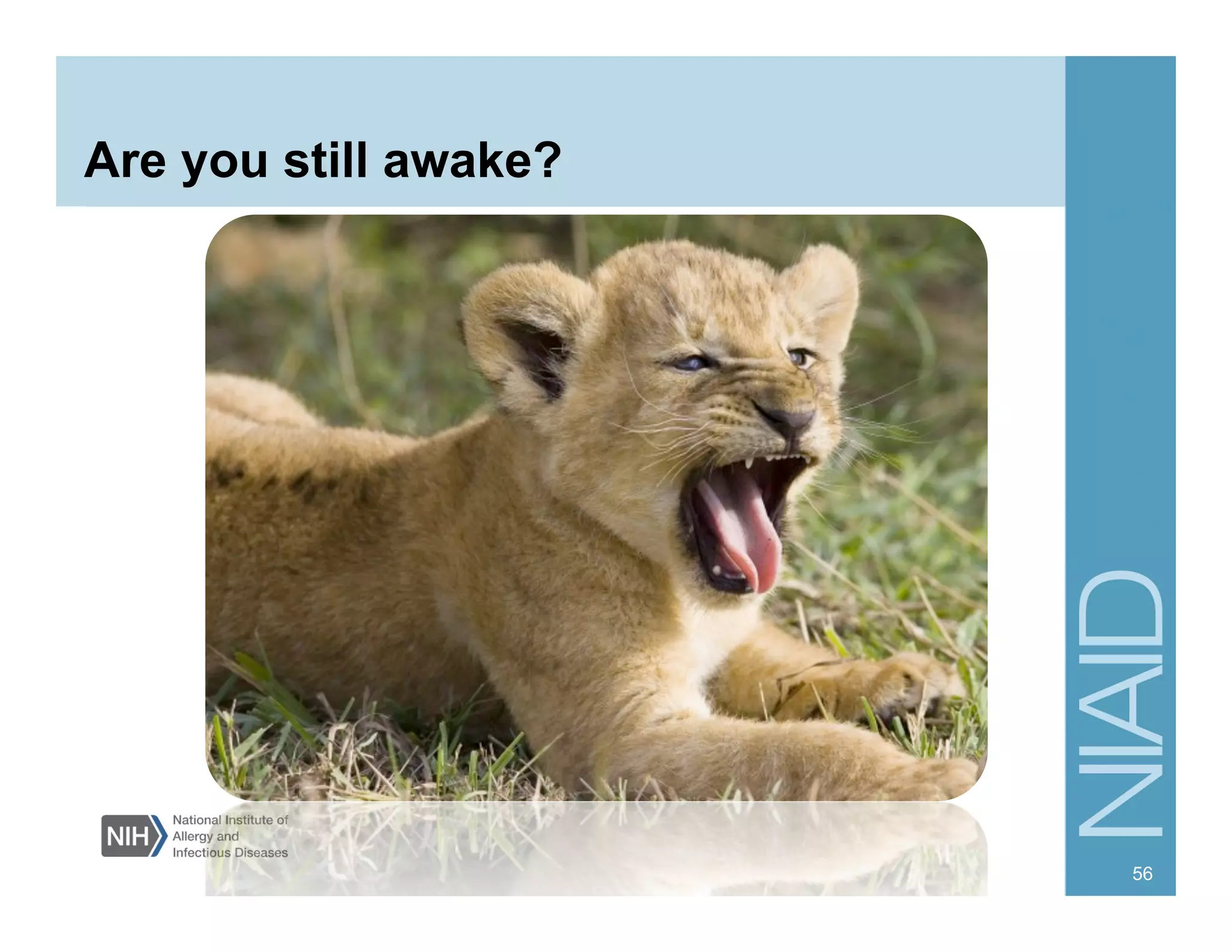 Are you still awake?
56
 