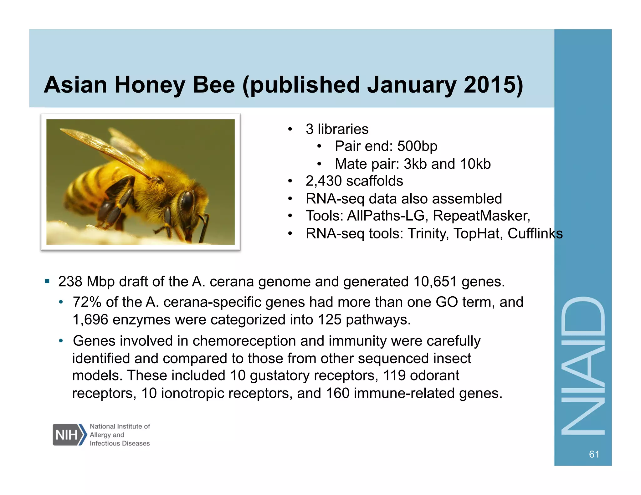 Asian Honey Bee (published January 2015)
  238 Mbp draft of the A. cerana genome and generated 10,651 genes.
•  72% of the A. cerana-specific genes had more than one GO term, and
1,696 enzymes were categorized into 125 pathways.
•  Genes involved in chemoreception and immunity were carefully
identified and compared to those from other sequenced insect
models. These included 10 gustatory receptors, 119 odorant
receptors, 10 ionotropic receptors, and 160 immune-related genes.
61
•  3 libraries
•  Pair end: 500bp
•  Mate pair: 3kb and 10kb
•  2,430 scaffolds
•  RNA-seq data also assembled
•  Tools: AllPaths-LG, RepeatMasker,
•  RNA-seq tools: Trinity, TopHat, Cufflinks
 