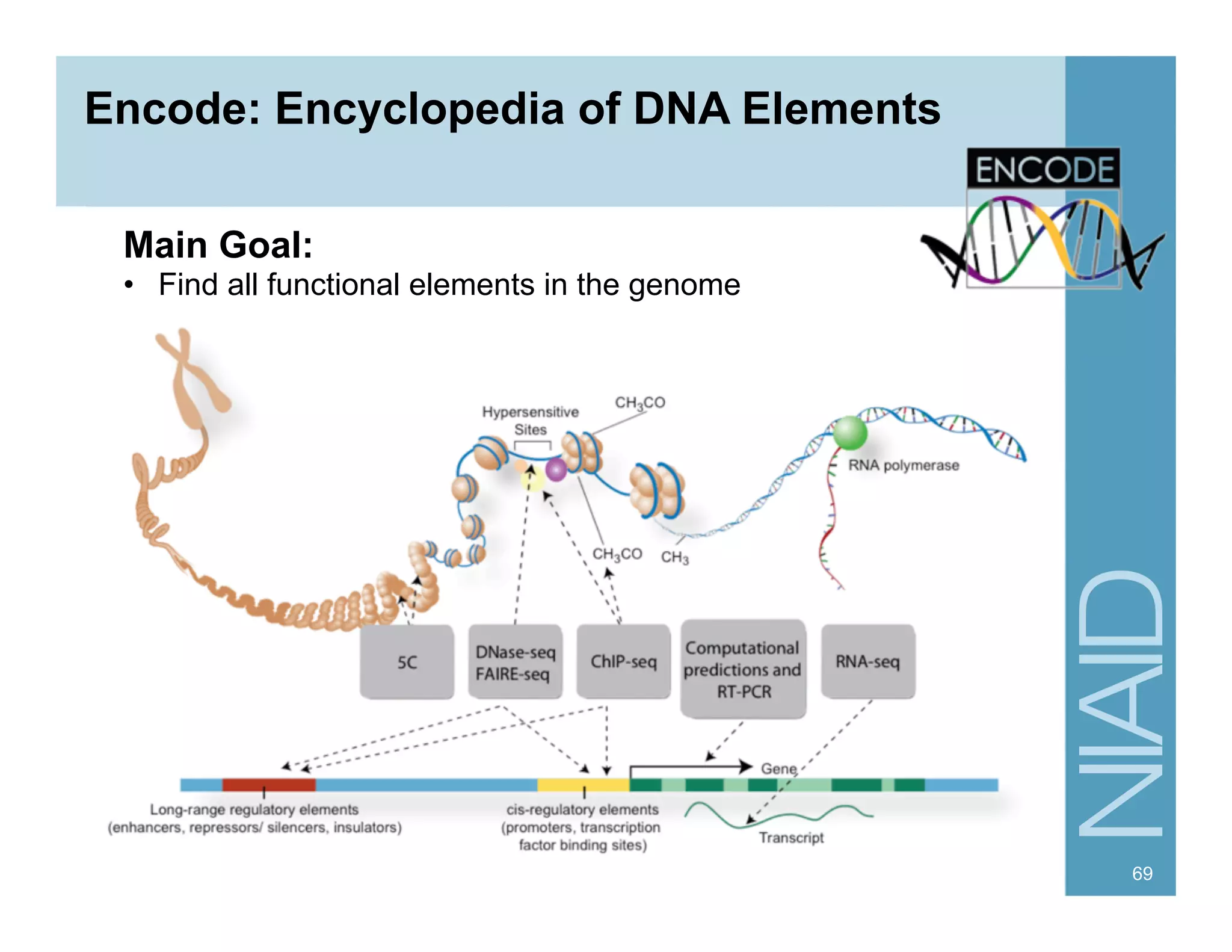 Encode: Encyclopedia of DNA Elements
69
Main Goal:
•  Find all functional elements in the genome
 