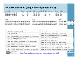 Overview of Next Gen Sequencing Data Analysis | PDF