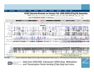 Overview of Next Gen Sequencing Data Analysis | PDF