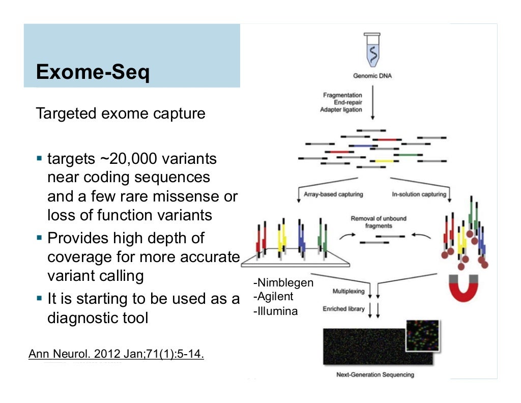 Overview of Next Gen Sequencing Data Analysis