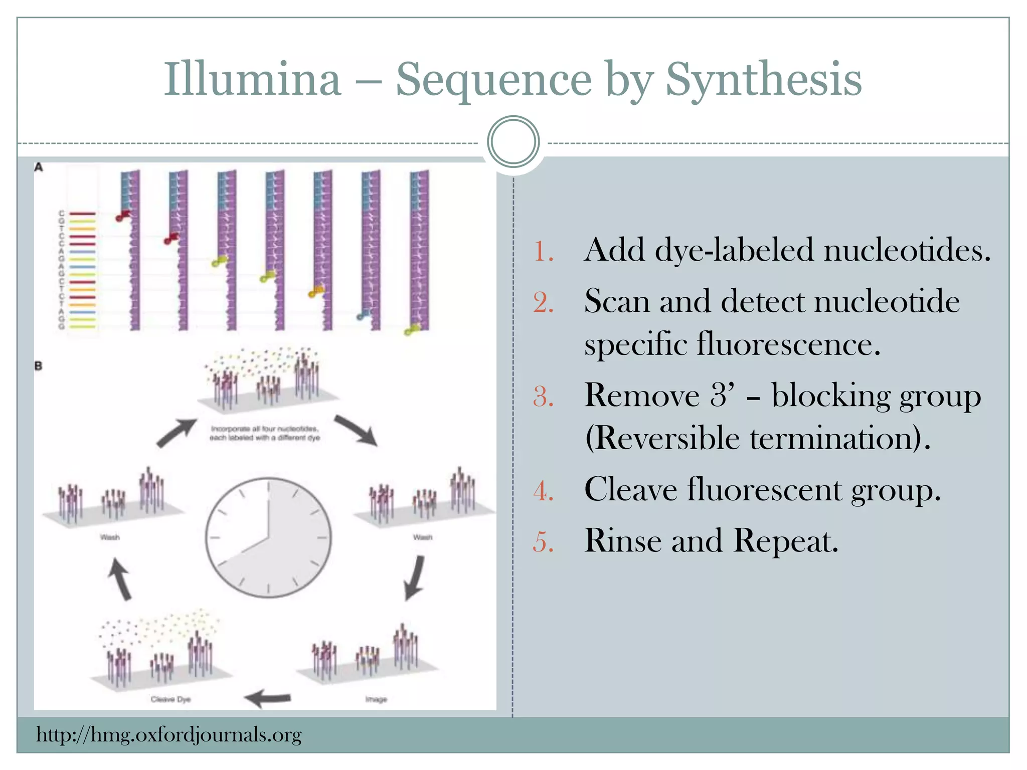 Illumina – Sequence by Synthesis


                                1. Add dye-labeled nucleotides.
                                2. Scan and detect nucleotide
                                   specific fluorescence.
                                3. Remove 3’ – blocking group
                                   (Reversible termination).
                                4. Cleave fluorescent group.
                                5. Rinse and Repeat.




http://hmg.oxfordjournals.org
 