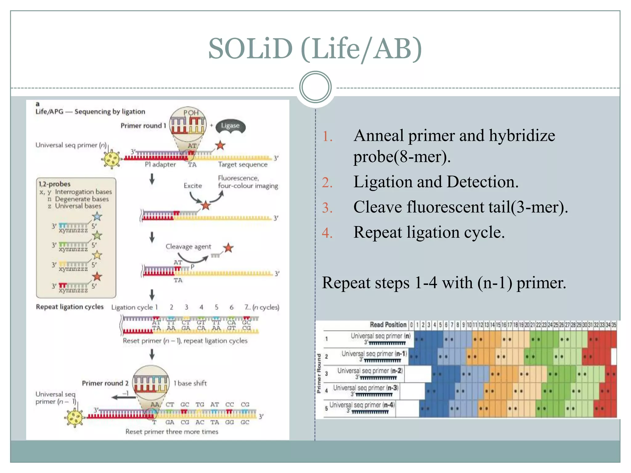 SOLiD (Life/AB)

       1.   Anneal primer and hybridize
            probe(8-mer).
       2.   Ligation and Detection.
       3.   Cleave fluorescent tail(3-mer).
       4.   Repeat ligation cycle.

       Repeat steps 1-4 with (n-1) primer.
 