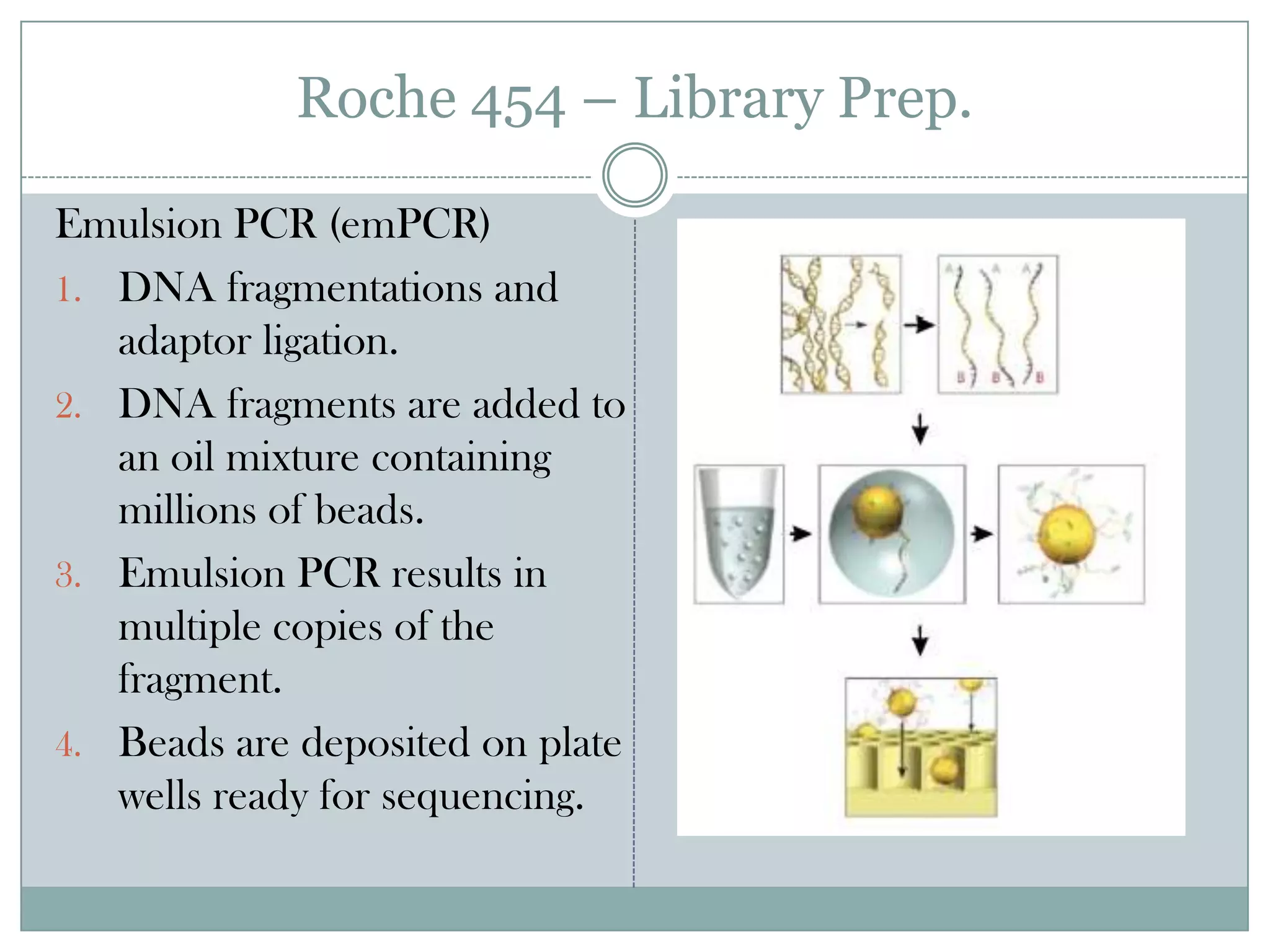 Roche 454 – Library Prep.

Emulsion PCR (emPCR)
1. DNA fragmentations and
   adaptor ligation.
2. DNA fragments are added to
   an oil mixture containing
   millions of beads.
3. Emulsion PCR results in
   multiple copies of the
   fragment.
4. Beads are deposited on plate
   wells ready for sequencing.
 