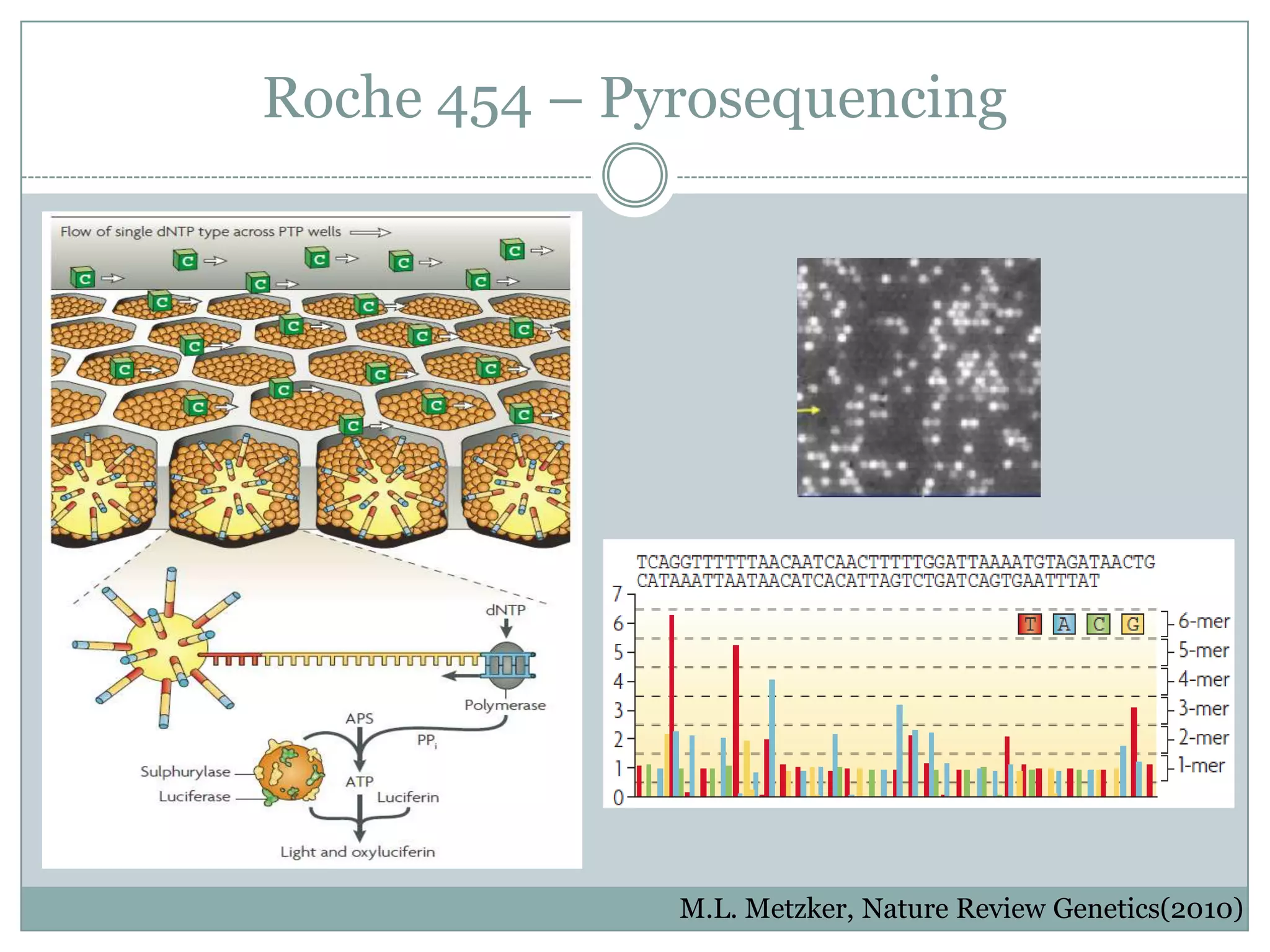 Roche 454 – Pyrosequencing




              M.L. Metzker, Nature Review Genetics(2010)
 