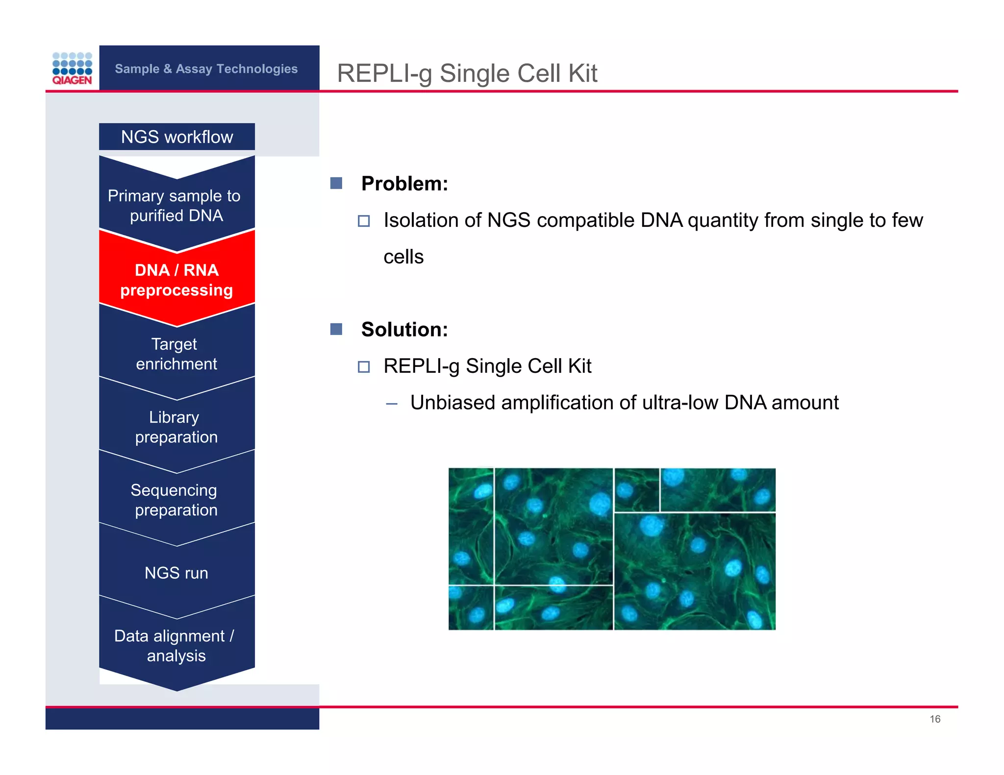 Sample & Assay Technologies
REPLI-g Single Cell Kit
NGS workflow
Primary sample to
purified DNA
DNA / RNA
preprocessing
Target
enrichment
Library
preparation
Problem:
Isolation of NGS compatible DNA quantity from single to few
cells
Solution:
REPLI-g Single Cell Kit
– Unbiased amplification of ultra-low DNA amount
Sequencing
preparation
NGS run
Data alignment /
analysis
16
