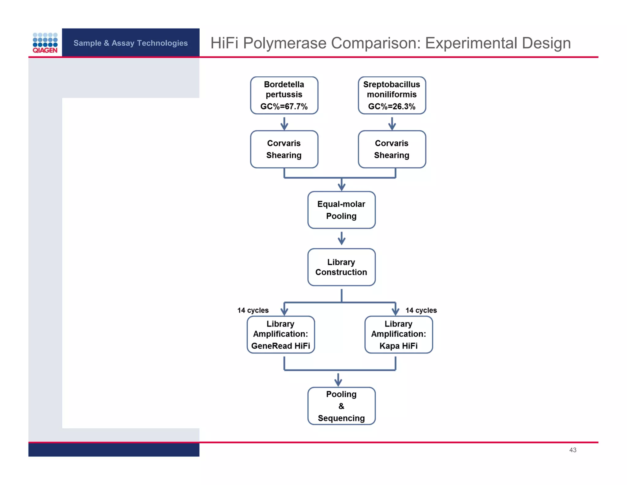 Sample & Assay Technologies
HiFi Polymerase Comparison: Experimental Design
43