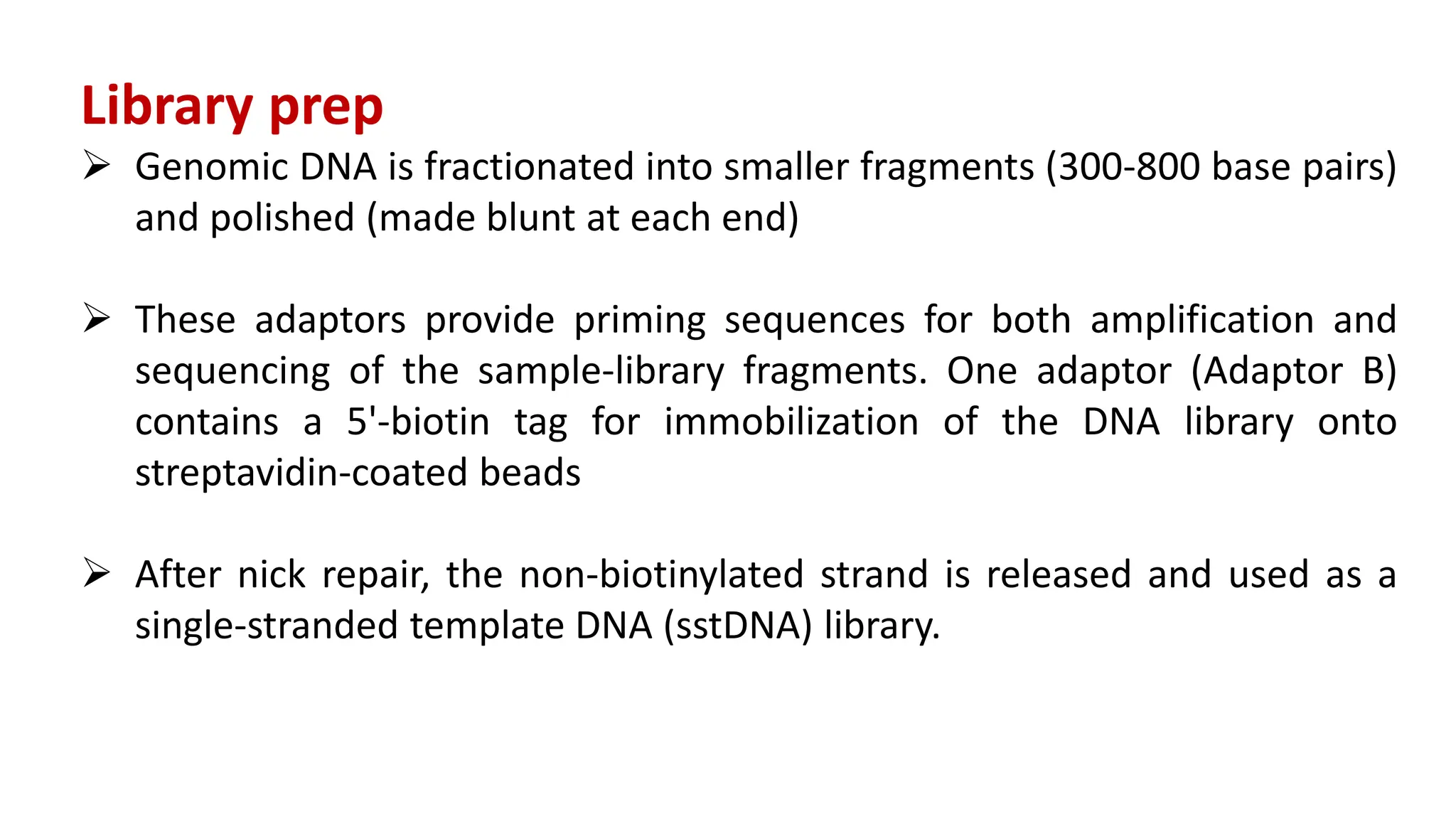 Library prep
 Genomic DNA is fractionated into smaller fragments (300-800 base pairs)
and polished (made blunt at each end)
 These adaptors provide priming sequences for both amplification and
sequencing of the sample-library fragments. One adaptor (Adaptor B)
contains a 5'-biotin tag for immobilization of the DNA library onto
streptavidin-coated beads
 After nick repair, the non-biotinylated strand is released and used as a
single-stranded template DNA (sstDNA) library.
 