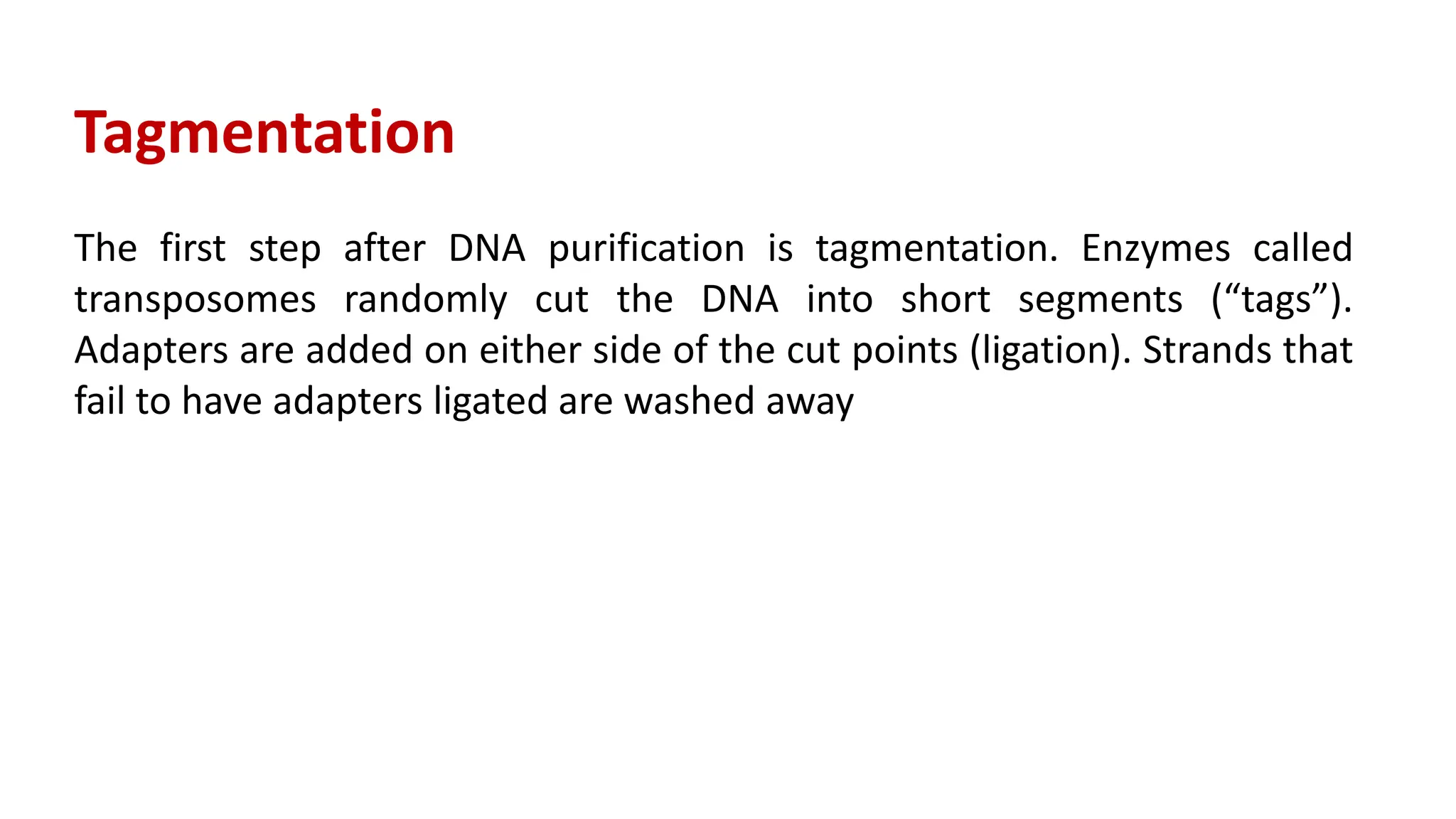 Tagmentation
The first step after DNA purification is tagmentation. Enzymes called
transposomes randomly cut the DNA into short segments (“tags”).
Adapters are added on either side of the cut points (ligation). Strands that
fail to have adapters ligated are washed away
 