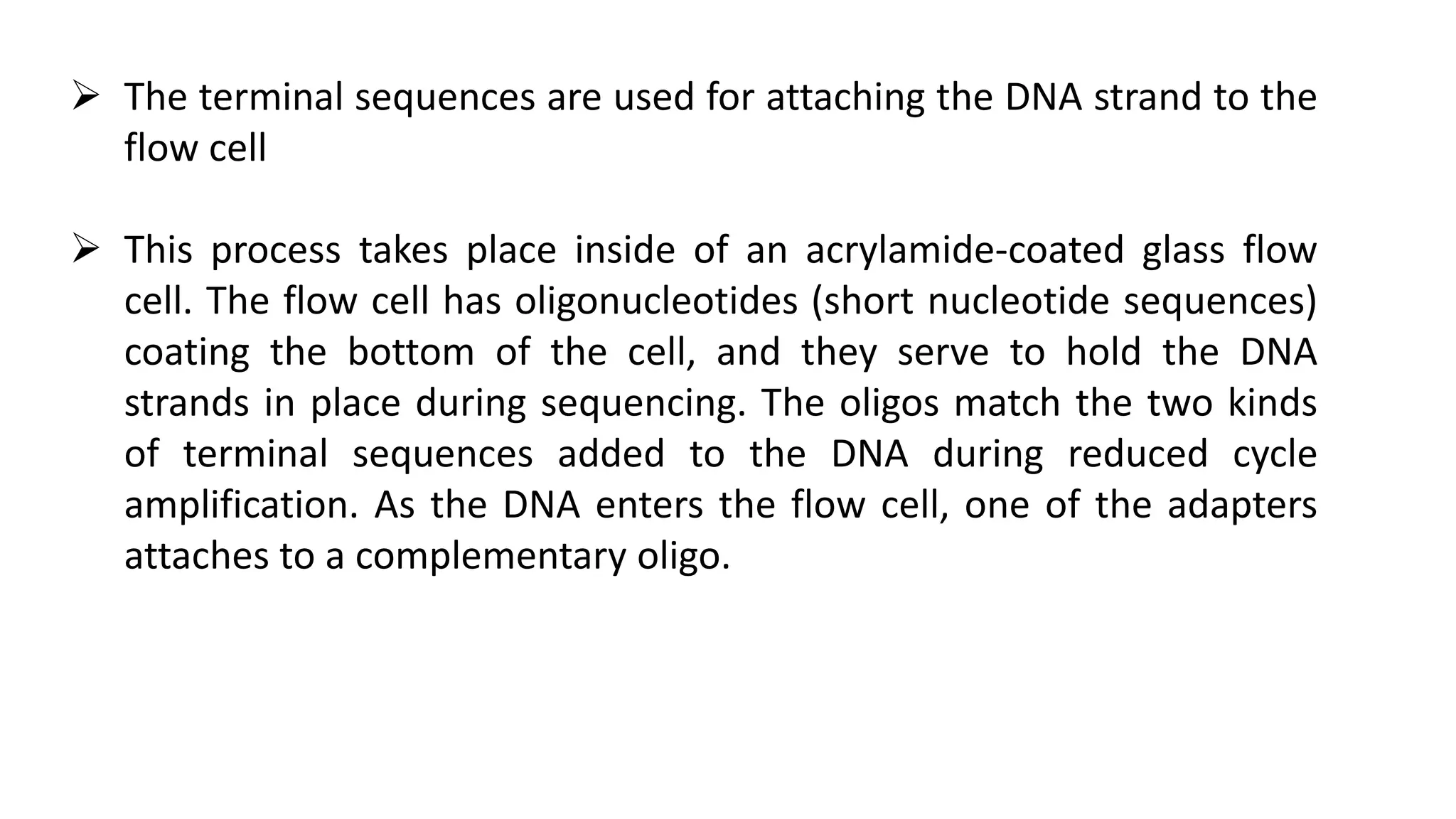  The terminal sequences are used for attaching the DNA strand to the
flow cell
 This process takes place inside of an acrylamide-coated glass flow
cell. The flow cell has oligonucleotides (short nucleotide sequences)
coating the bottom of the cell, and they serve to hold the DNA
strands in place during sequencing. The oligos match the two kinds
of terminal sequences added to the DNA during reduced cycle
amplification. As the DNA enters the flow cell, one of the adapters
attaches to a complementary oligo.
 