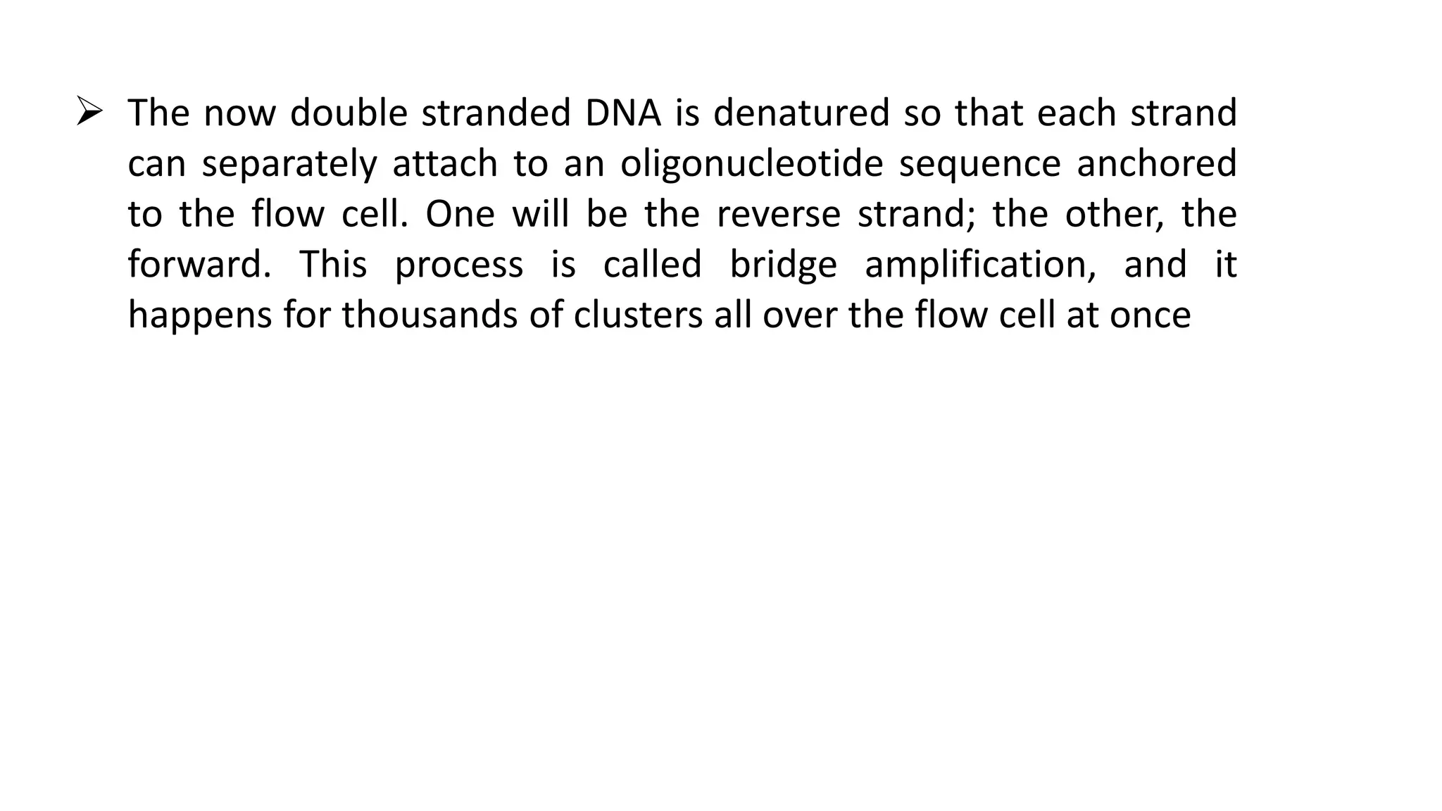  The now double stranded DNA is denatured so that each strand
can separately attach to an oligonucleotide sequence anchored
to the flow cell. One will be the reverse strand; the other, the
forward. This process is called bridge amplification, and it
happens for thousands of clusters all over the flow cell at once
 