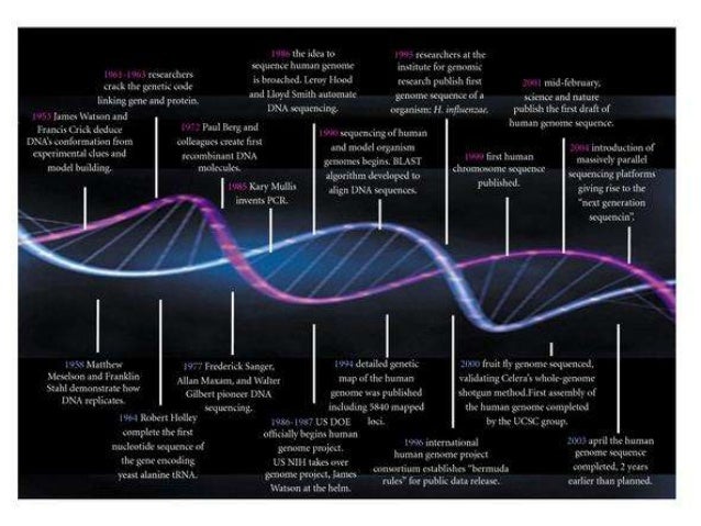 Gay gene research begin