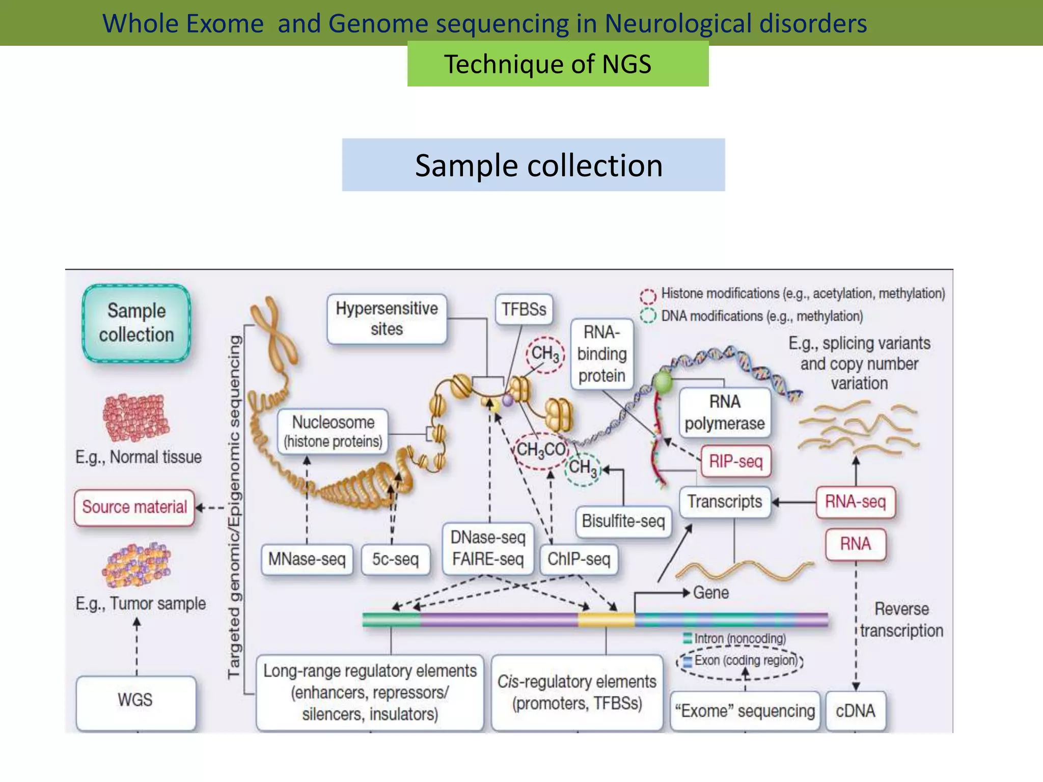 Whole Exome and Genome sequencing in Neurological disorders
Sample collection
Technique of NGS
 