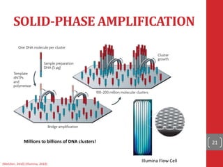 SOLID-PHASE AMPLIFICATION
21
(Metzker, 2010) (Illumina, 2018)
Illumina Flow Cell
Millions to billions of DNA clusters!
 
