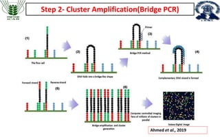 Next Generation Sequencing application in virology | PPTX