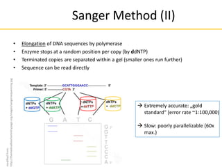 Sanger Method (II)
 Extremely accurate: „gold
standard“ (error rate ~1:100,000)
 Slow: poorly parallelizable (60x
max.)
• Elongation of DNA sequences by polymerase
• Enzyme stops at a random position per copy (by ddNTP)
• Terminated copies are separated within a gel (smaller ones run further)
• Sequence can be read directly
modified
from:
http://themedicalbiochemistrypage.org/images/sangersequencing.jpg
 