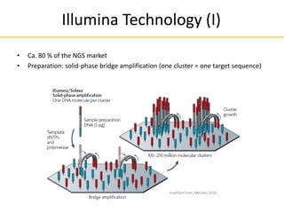 Illumina Technology (I)
• Ca. 80 % of the NGS market
• Preparation: solid-phase bridge amplification (one cluster = one target sequence)
modified from: Metzker 2010
 