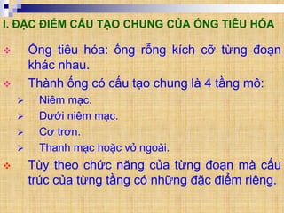 Ống tiêu hóa: ống rỗng kích cỡ từng đoạn
khác nhau.
 Thành ống có cấu tạo chung là 4 tầng mô:
 Niêm mạc.
 Dưới niêm mạc.
 Cơ trơn.
 Thanh mạc hoặc vỏ ngoài.
 Tùy theo chức năng của từng đoạn mà cấu
trúc của từng tầng có những đặc điểm riêng.
I. ĐẶC ĐIỂM CẤU TẠO CHUNG CỦA ỐNG TIÊU HÓA
 