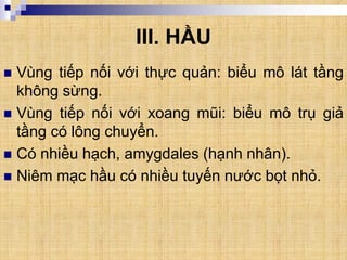 III. HẦU
 Vùng tiếp nối với thực quản: biểu mô lát tầng
không sừng.
 Vùng tiếp nối với xoang mũi: biểu mô trụ giả
tầng có lông chuyển.
 Có nhiều hạch, amygdales (hạnh nhân).
 Niêm mạc hầu có nhiều tuyến nước bọt nhỏ.
 