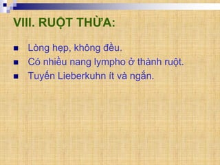 VIII. RUỘT THỪA:
 Lòng hẹp, không đều.
 Có nhiều nang lympho ở thành ruột.
 Tuyến Lieberkuhn ít và ngắn.
 