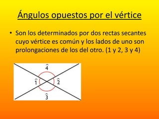 Ángulos opuestos por el vértice
• Son los determinados por dos rectas secantes
  cuyo vértice es común y los lados de uno son
  prolongaciones de los del otro. (1 y 2, 3 y 4)
 