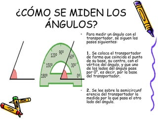 ¿CÓMO SE MIDEN LOS
    ÁNGULOS?
          •   Para medir un ángulo con el
              transportador, se siguen los
              pasos siguientes:

          •   1. Se coloca el transportador
              de forma que coincida el punto
              de su base, su centro, con el
              vértice del ángulo, y que uno
              de los lados del ángulo pase
              por 0°, es decir, por la base
              del transportador.


          •   2. Se lee sobre la semicircunf
              erencia del transportador la
              medida por la que pasa el otro
              lado del ángulo.
 