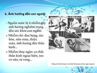 b. Ảnh hưởng đến con người

- Nguồn nước bị ô nhiễm gây
  ảnh hưởng nghiêm trọng
  đến sức khỏe con người:
+ Nhiễm chì: đau bụng, táo
  bón, nôn mửa, thiếu
  máu, ảnh hưởng đến thần
  kinh…
+ Nhiễm thủy ngân: co thắt
  thần kinh ngoại biên, teo
  vỏ não, tử vong…
 