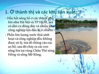 1. Ở thành thị và các khu sản xuất:
- Hầu hết sông hồ ở các thành phố
   lớn như Hà Nội và TP HCM, nơi
   có dân cư đông đúc và nhiều khu
   công nghiệp lớn đều bị ô nhiễm.
- Phần lớn lượng nước thải sinh
   hoạt và công nghiệp đều không
   được xử lý, mà đổ thẳng vào các
   ao hồ, sau đó chảy ra các con
   sông lớn tại vùng Châu Thổ sông
   Hồng và sông Mê Kông.
 