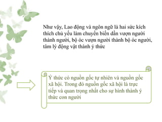 Như vậy, Lao động và ngôn ngữ là hai sức kích
thích chủ yếu làm chuyển biến dần vượn người
thành người, bộ óc vượn người thành bộ óc người,
tâm lý động vật thành ý thức
Ý thức có nguồn gốc tự nhiên và nguồn gốc
xã hội. Trong đó nguồn gốc xã hội là trực
tiếp và quan trọng nhất cho sự hình thành ý
thức con người
 