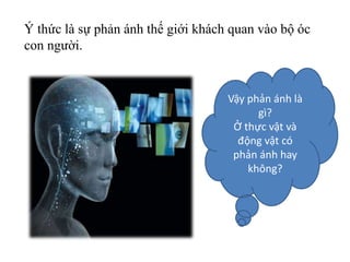Ý thức là sự phản ánh thế giới khách quan vào bộ óc
con người.
Vậy phản ánh là
gì?
Ở thực vật và
động vật có
phản ánh hay
không?
 