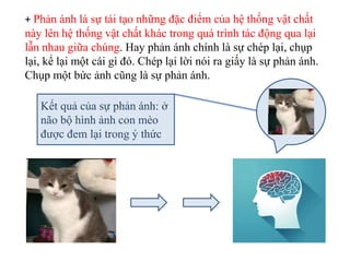 + Phản ánh là sự tái tạo những đặc điểm của hệ thống vật chất
này lên hệ thống vật chất khác trong quá trình tác động qua lại
lẫn nhau giữa chúng. Hay phản ánh chính là sự chép lại, chụp
lại, kể lại một cái gì đó. Chép lại lời nói ra giấy là sự phản ánh.
Chụp một bức ảnh cũng là sự phản ánh.
Kết quả của sự phản ánh: ở
não bộ hình ảnh con mèo
được đem lại trong ý thức
 